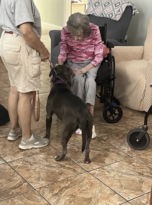 Essential Caregiver Relief in Hernando County