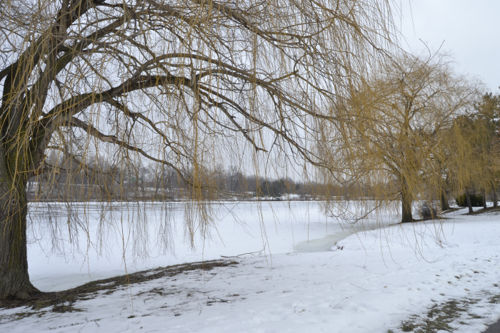 Buffalo’s Climate 