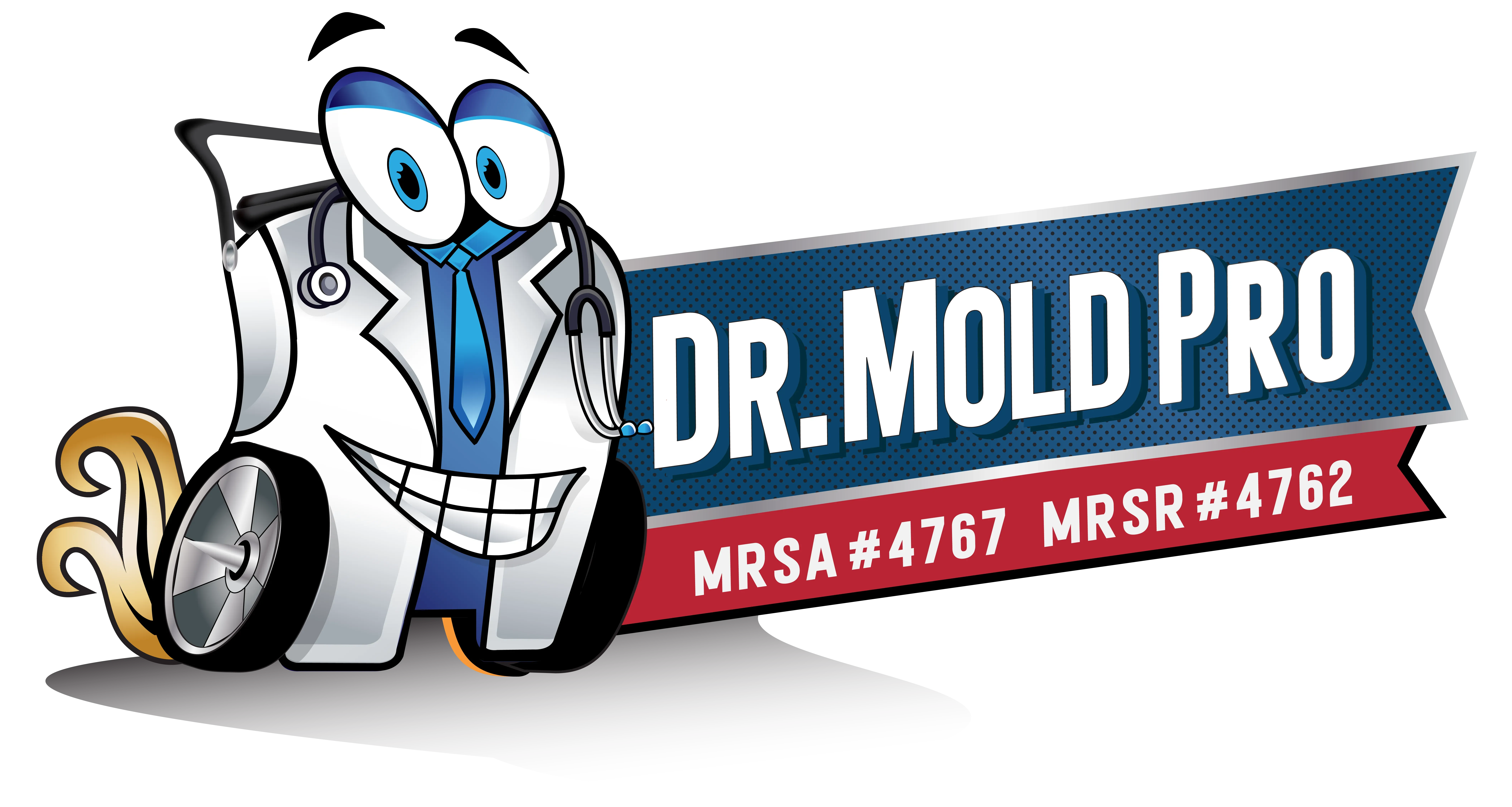 Benefits of Selecting Doctor Mold Pro