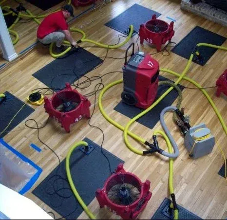 Professional Rug Cleaning with Delivery Across Austin