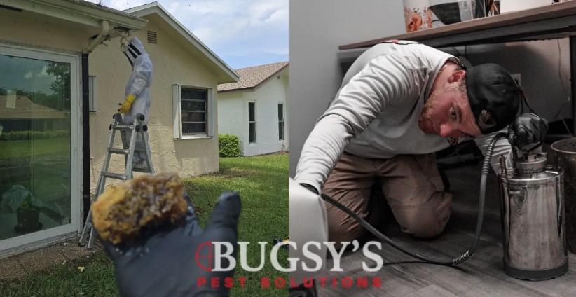 Pest control technician inspecting a business environment for pests