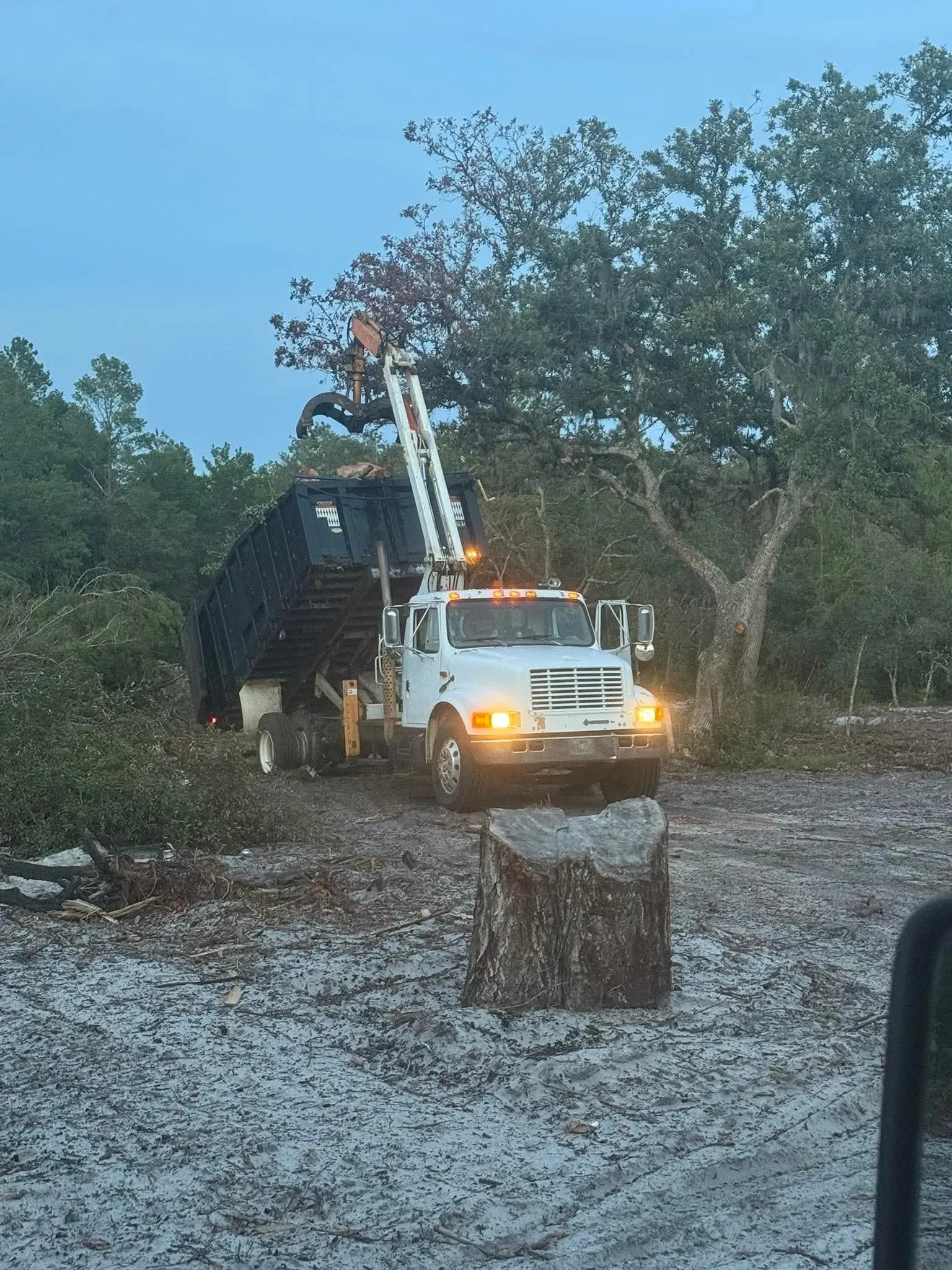When Do You Need Professional Land Clearing Services?