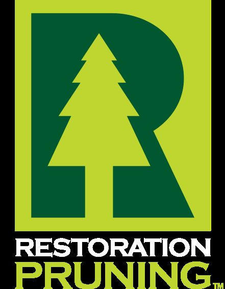 How Aging PNW Trees Benefit From Structural Care