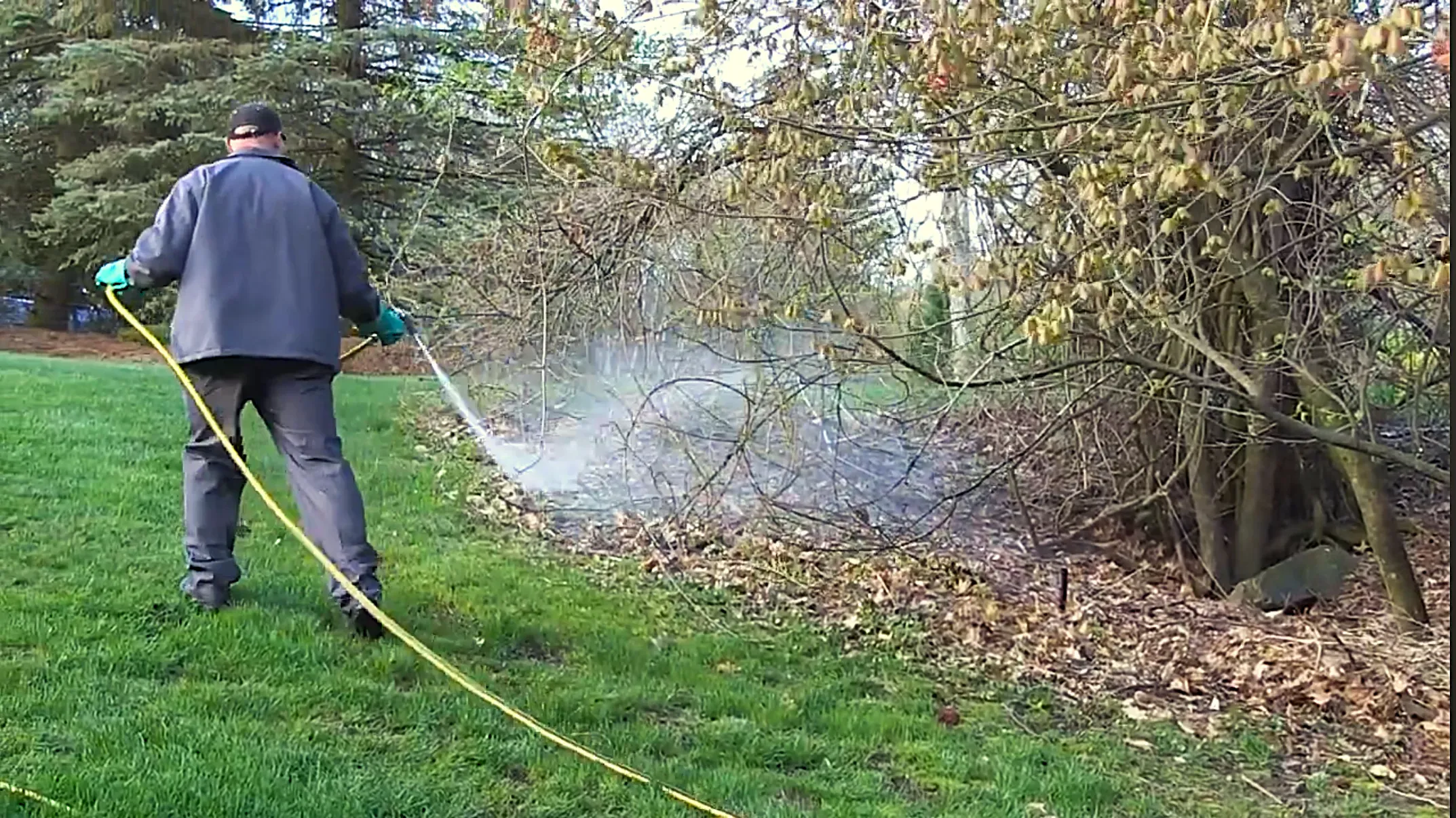 Stronger Lawns and Healthier Trees Across New Hampshire