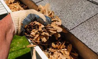 Autumn leaves falling from Parramatta's native trees, showcasing seasonal debris accumulation in gutters