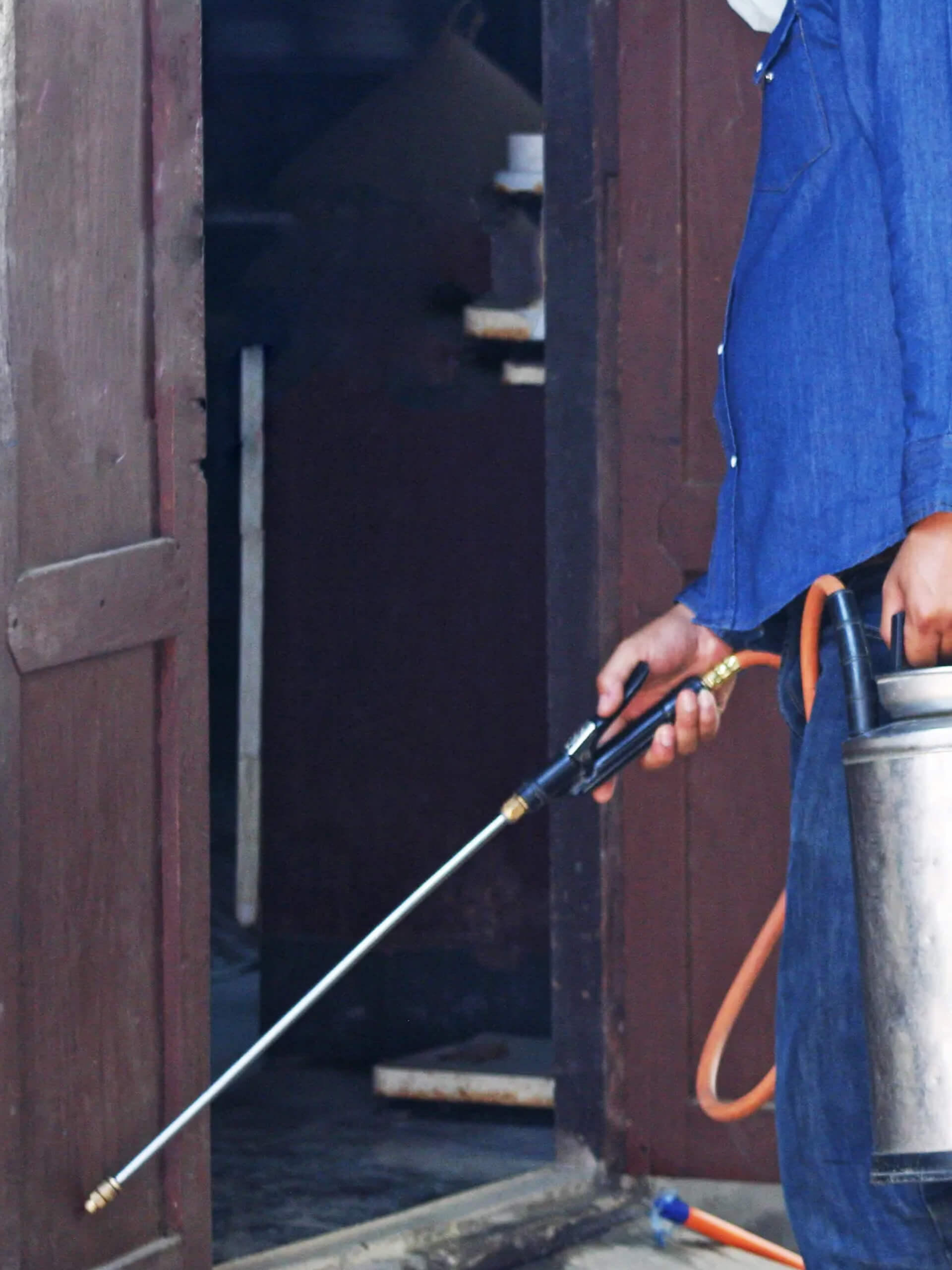 Expert Termite Management Services