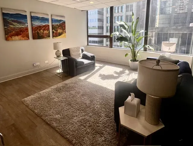 Therapy Practice Consulting Chicago IL Professional Services