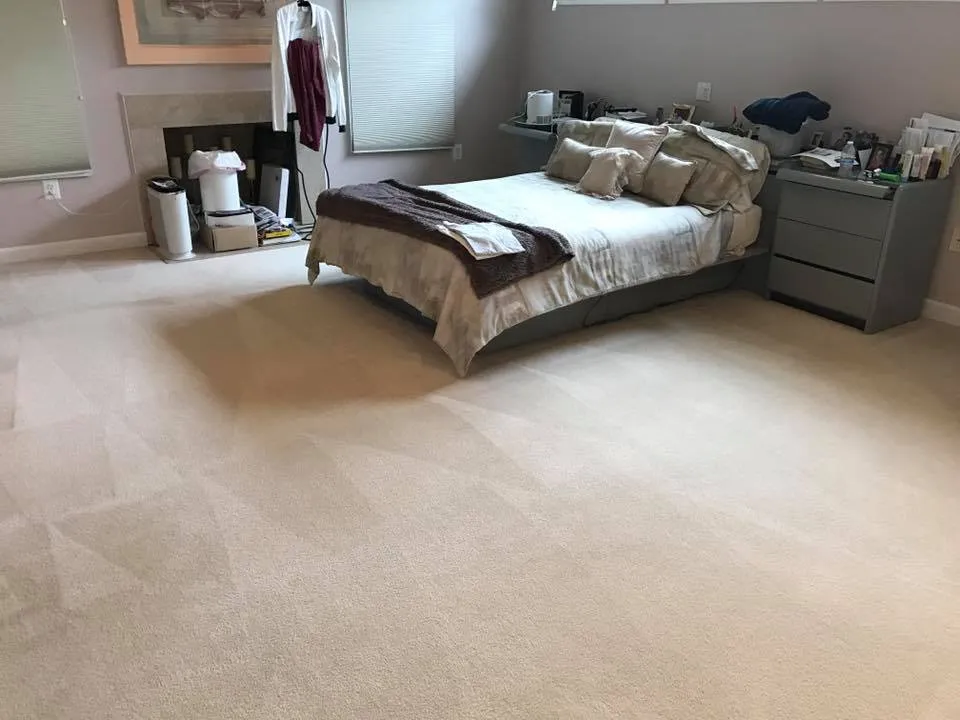 The Value of Expert Carpet Cleaning in Alexandria