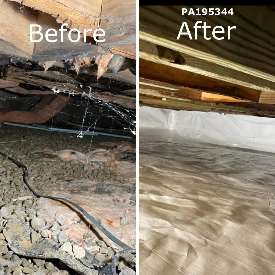 What You Should Know About Mold Dangers