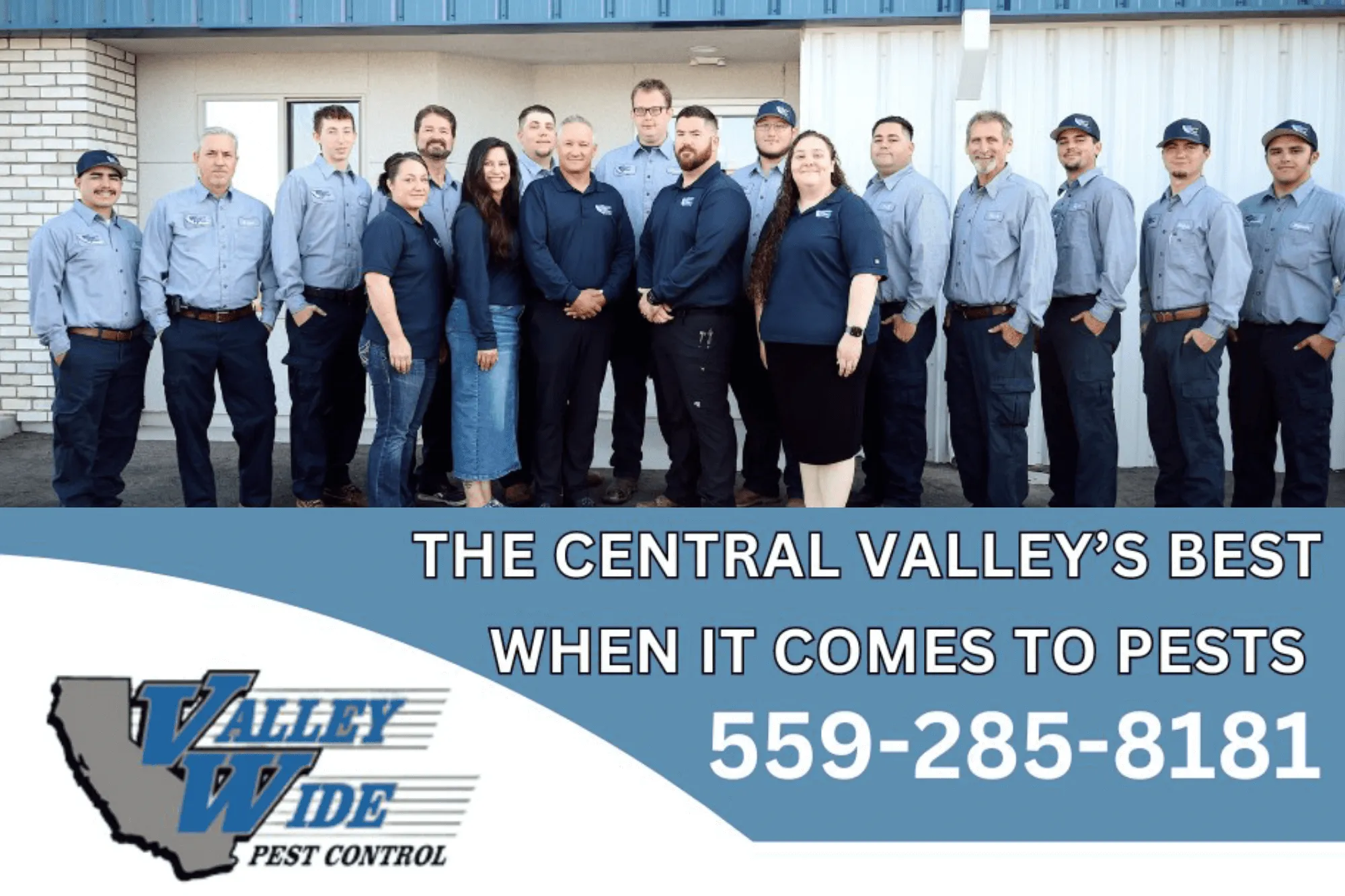Professional Residential Pest Management in Fresno CA