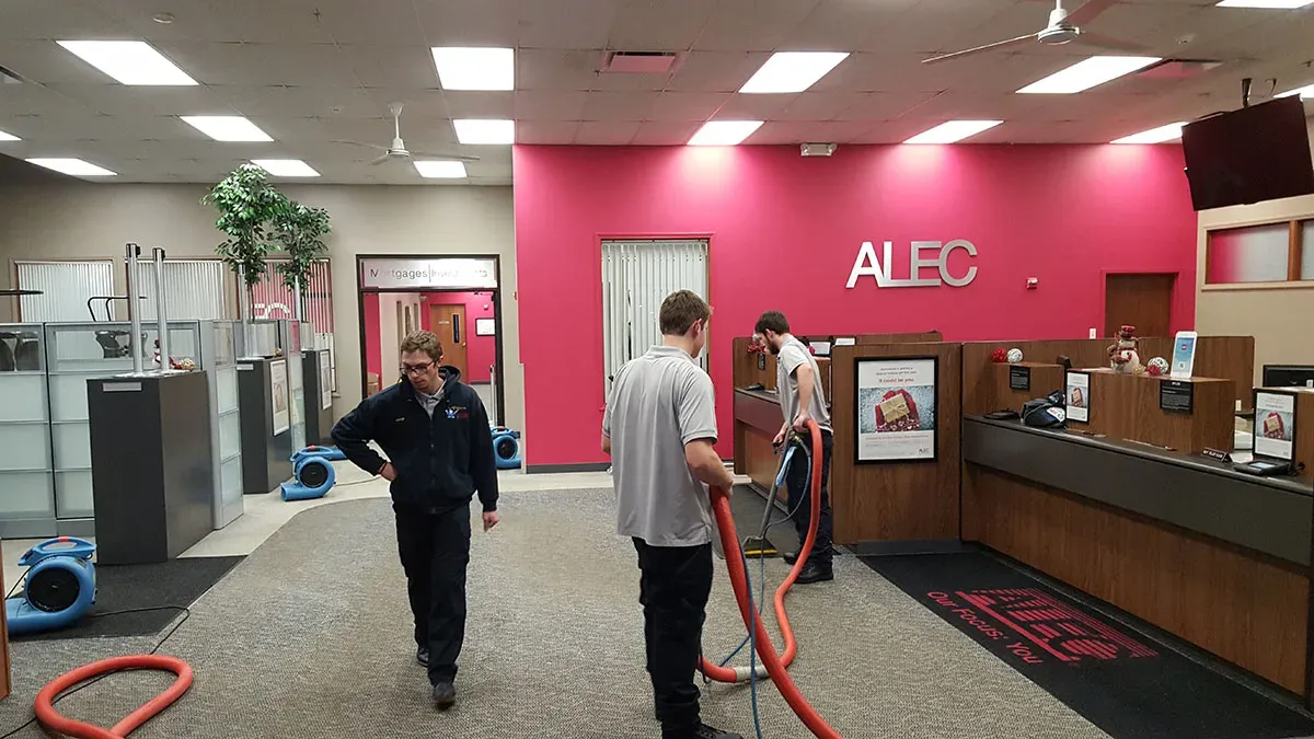 Local rug cleaning expert providing personalized service to a customer, highlighting community trust and expertise