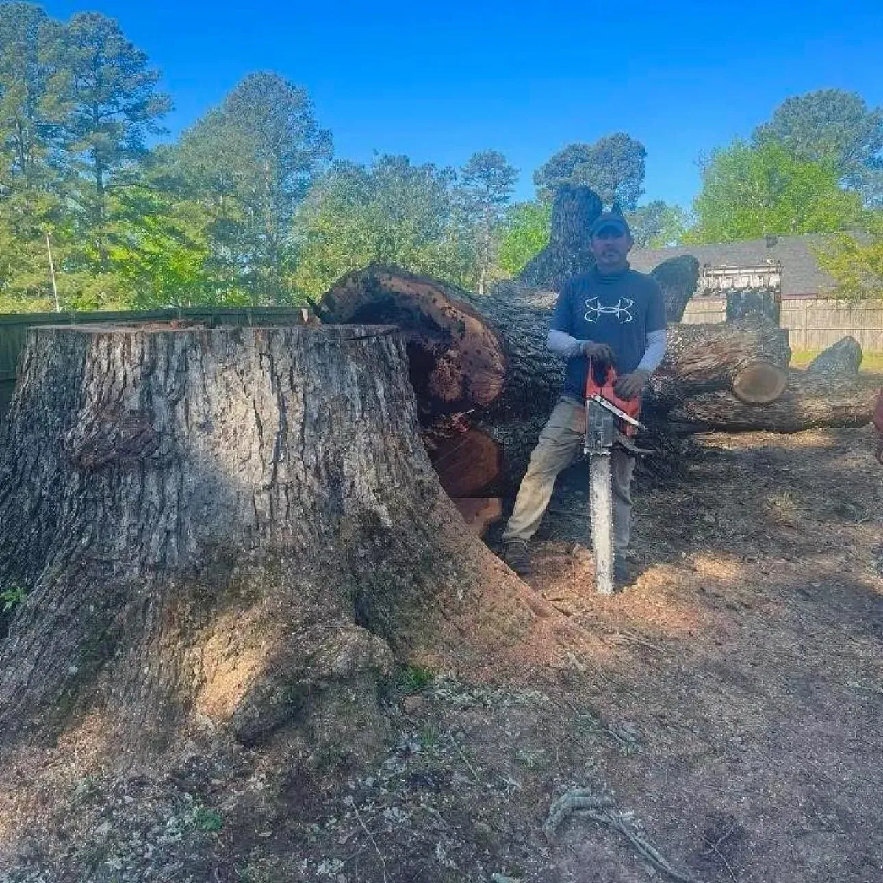 Trusted Tree Services Across Arkadelphia, Malvern, and Hot Springs