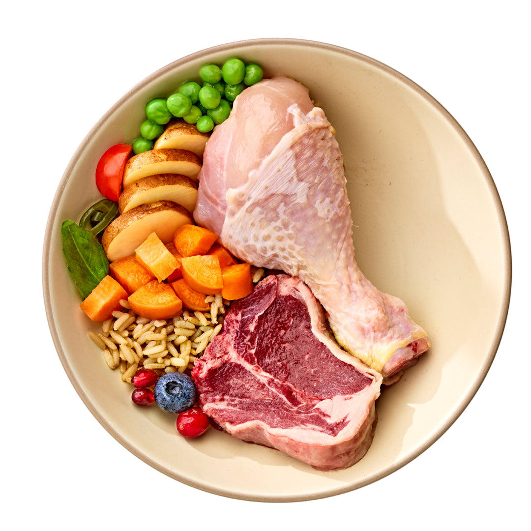 Natural Dog Food: Grain-Free & Holistic Pet Nutrition