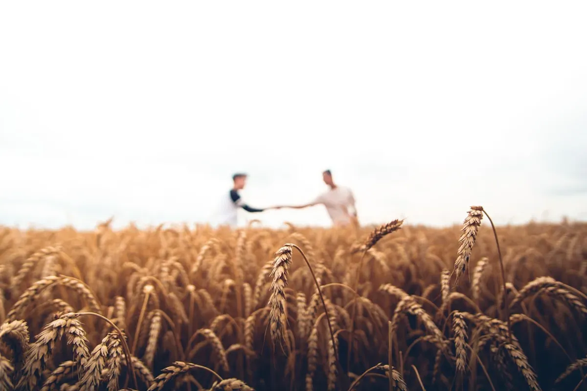 Experience the Best Family Farm Activities at Ort Farms