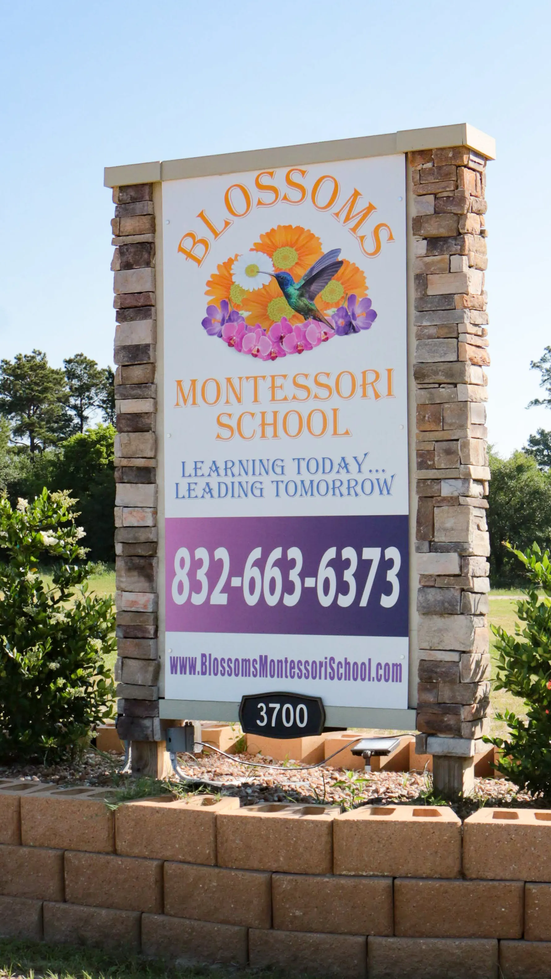 Holistic Development Programs