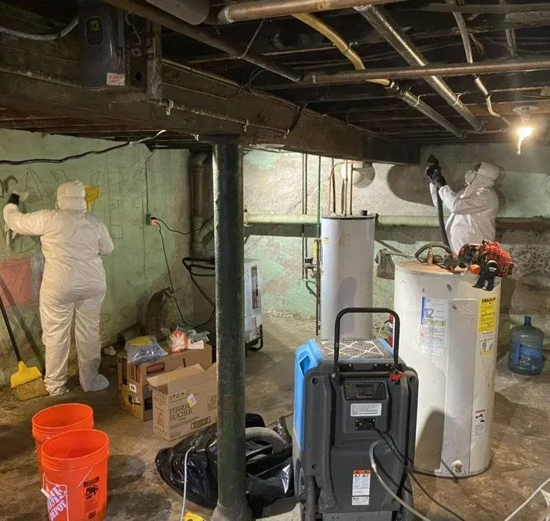 Water Damage Mitigation, Structural Drying, and Dehumidification