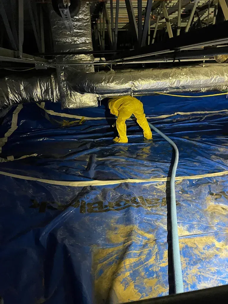 Premier Water Damage Restoration Solutions in Littleton