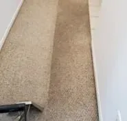 Carpet Steam Cleaning for Homes
