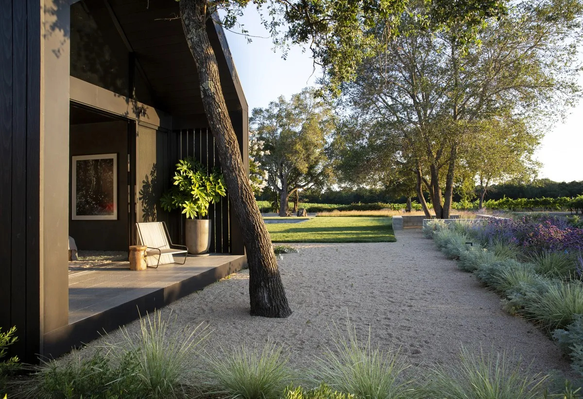 Expert Landscape Maintenance
