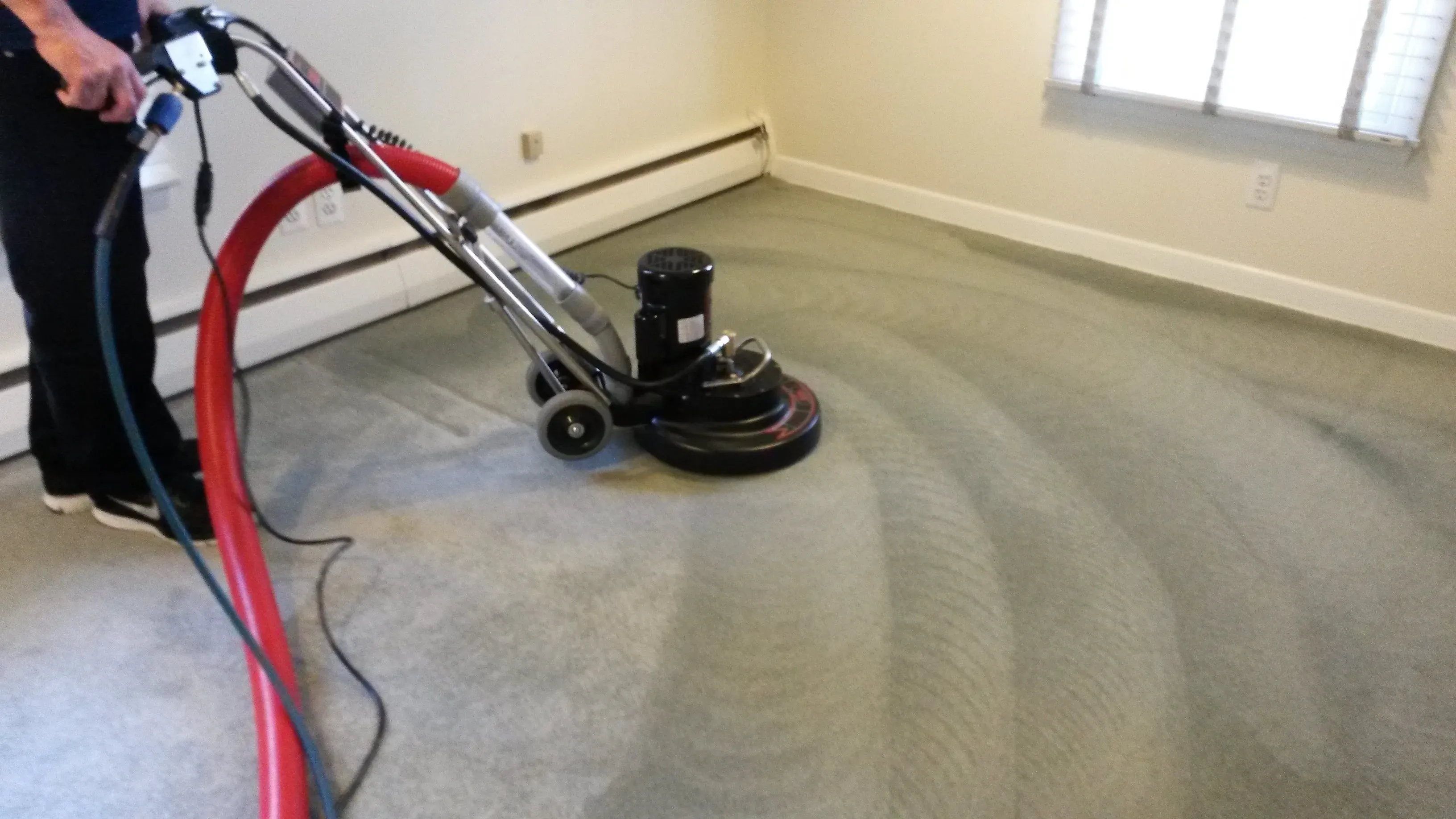 Expert Carpet and Rug Cleaning Services in Fairfax VA