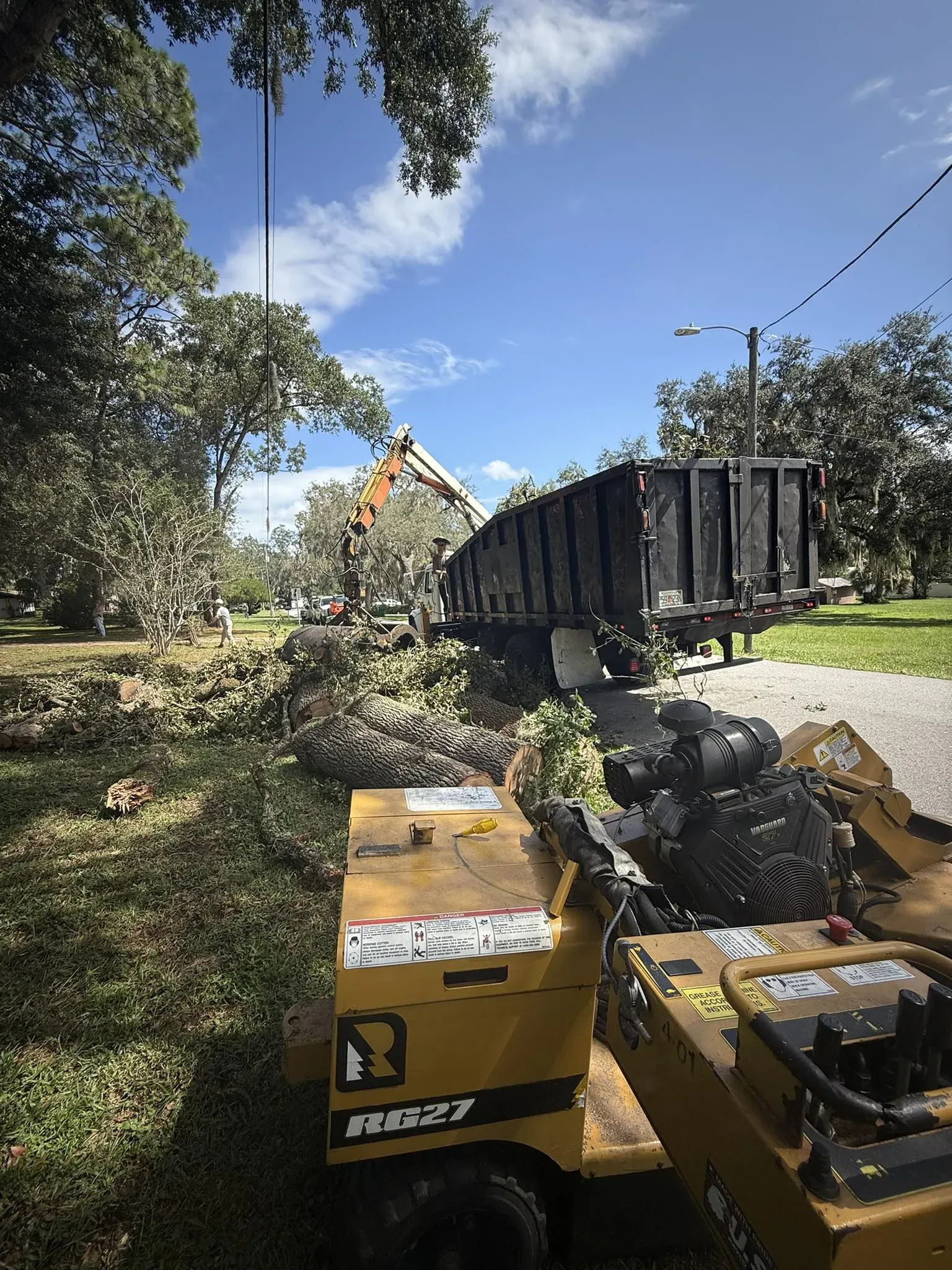 Professional Tree Trimming