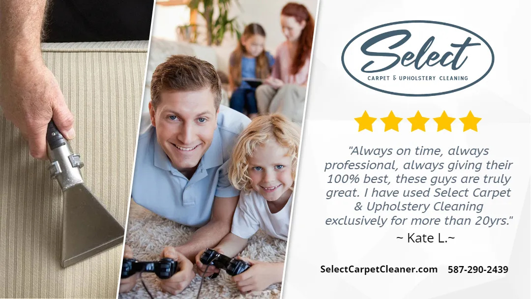 Eco-friendly carpet cleaning products displayed in a bright kitchen, promoting sustainable home care practices