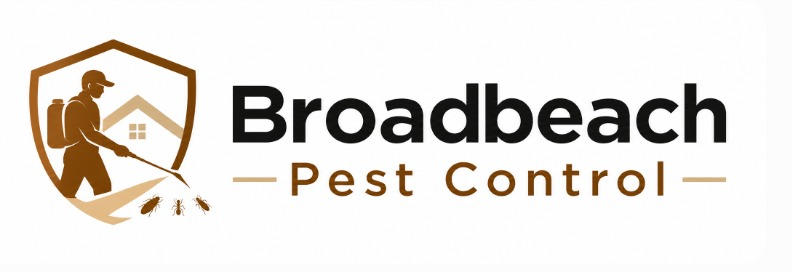 Trusted Pest Control Solutions for Gold Coast Properties