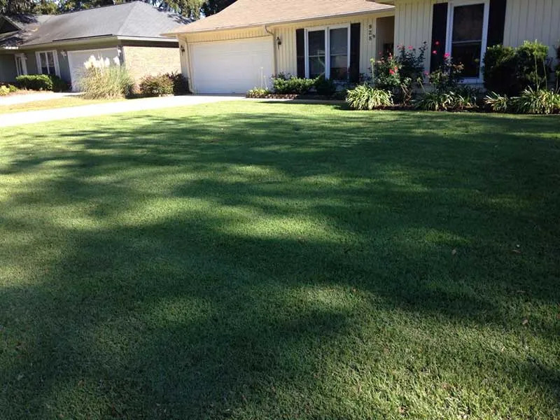 Overall Strategy for Weed Control