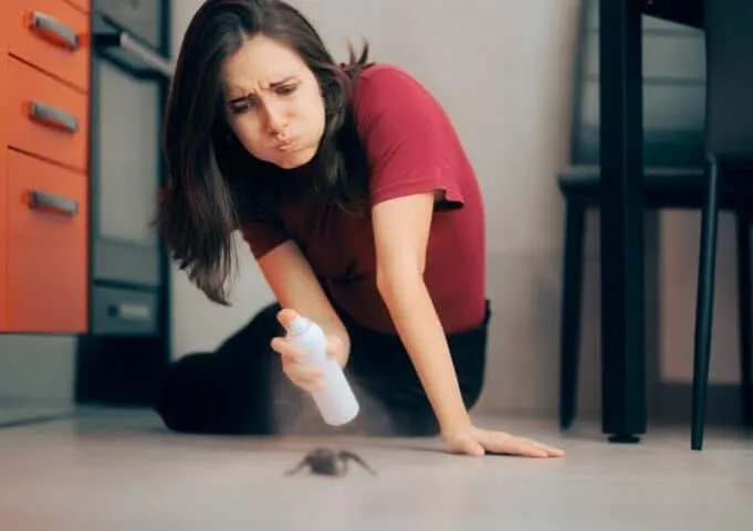 Insight Into Cockroaches and Their Living Conditions