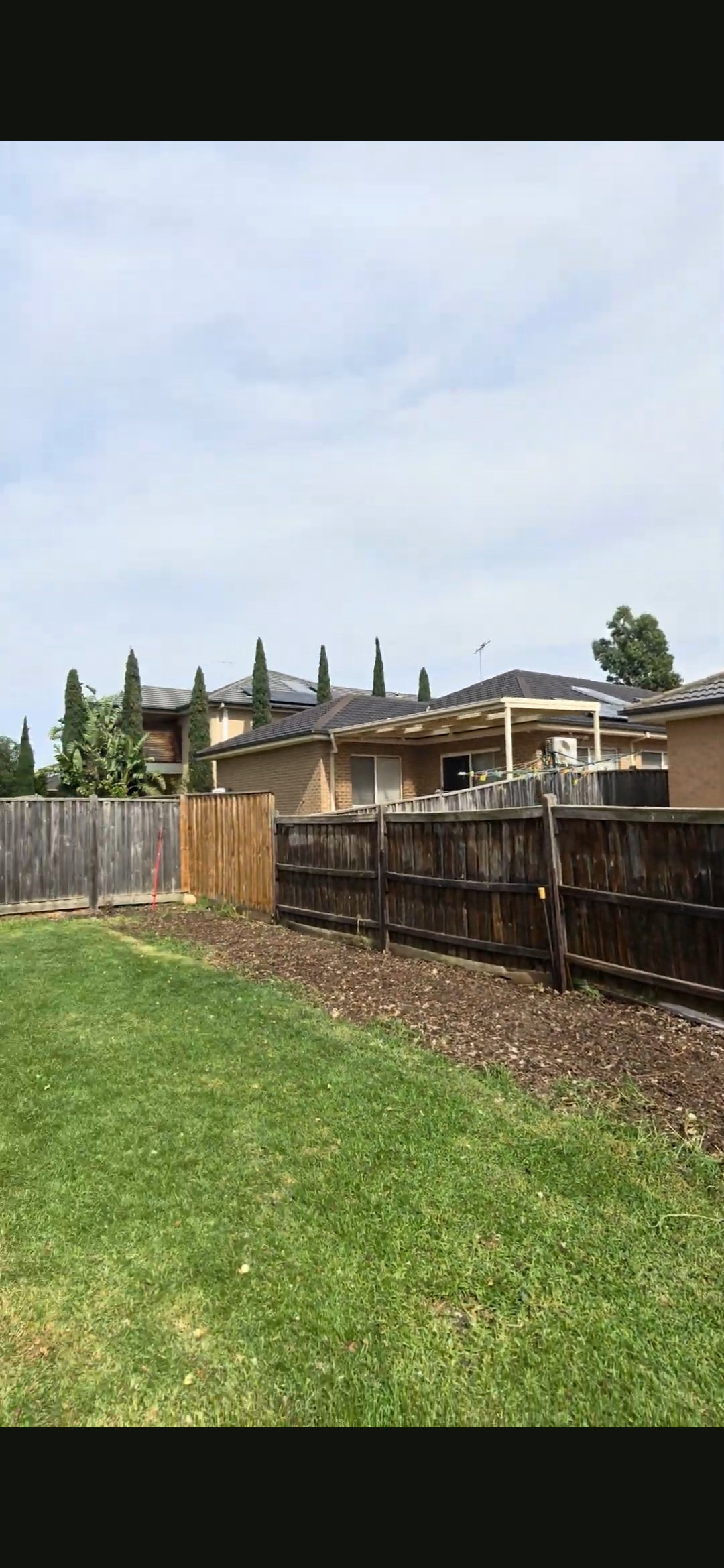 Professional Stump Removal and Grinding Services in Melbourne