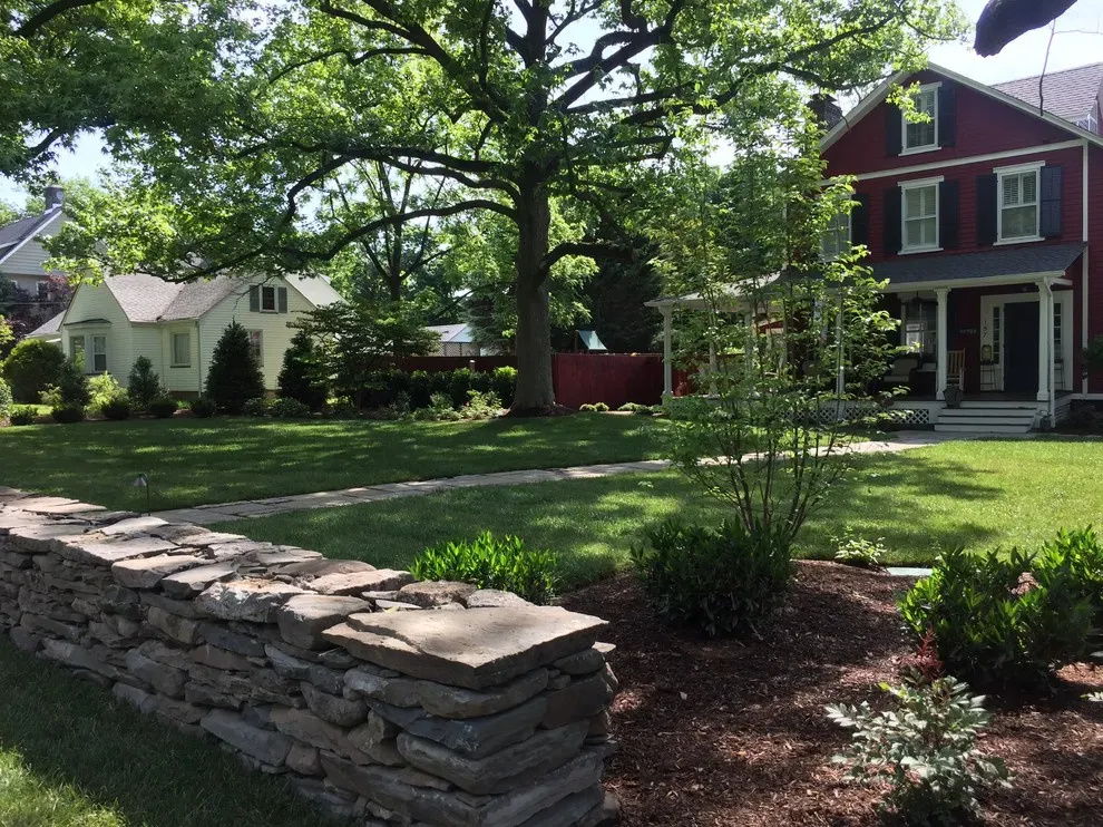 Professional Tree and Shrub Care Services in New Jersey