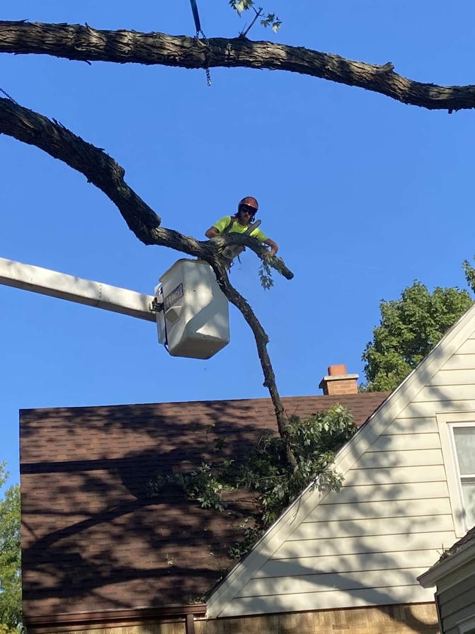 Preventing Future Storm Damage