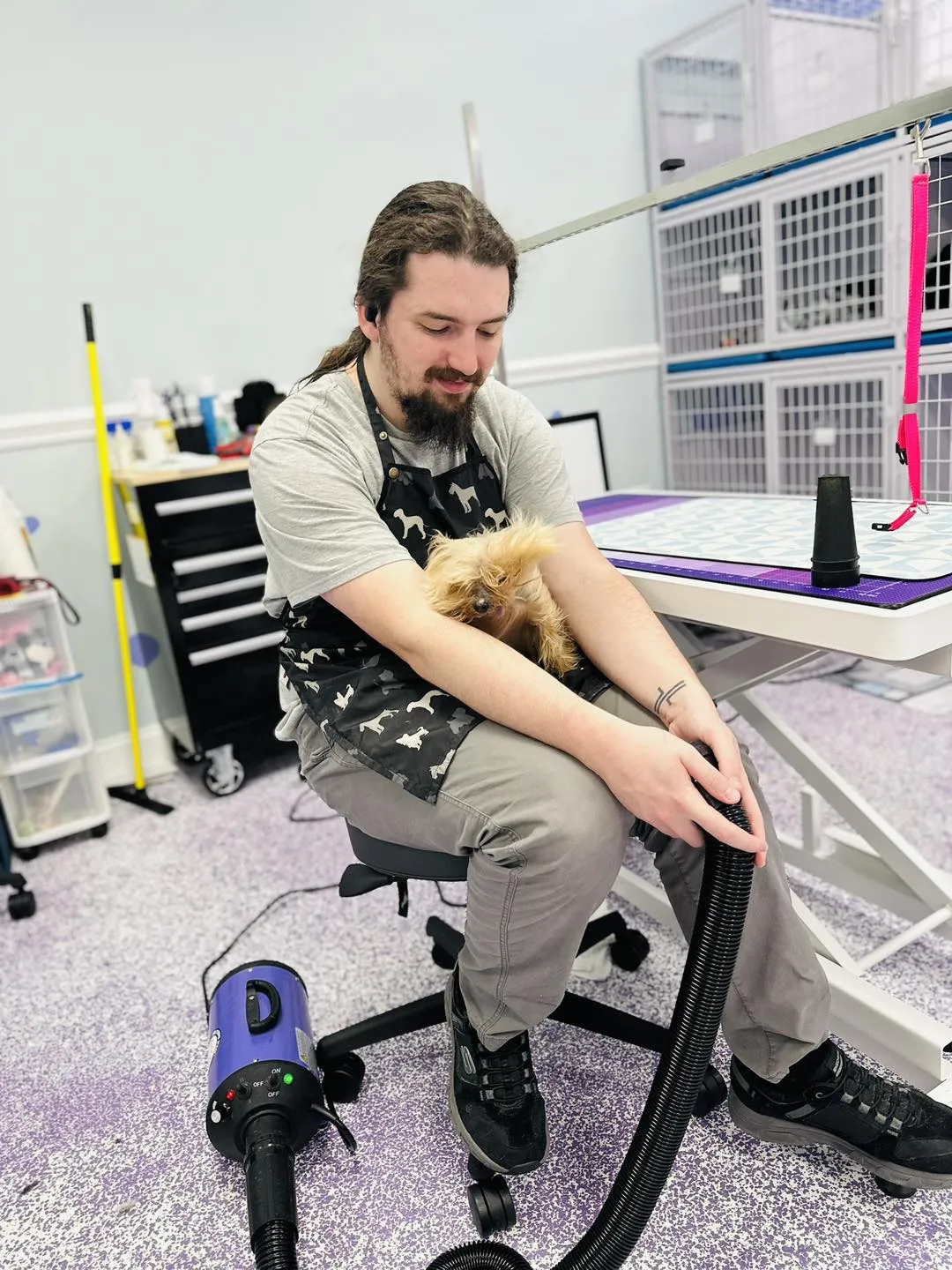 Professional groomer enhancing a dog's skin health in a grooming salon