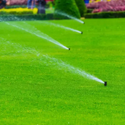 Tailored Irrigation Systems