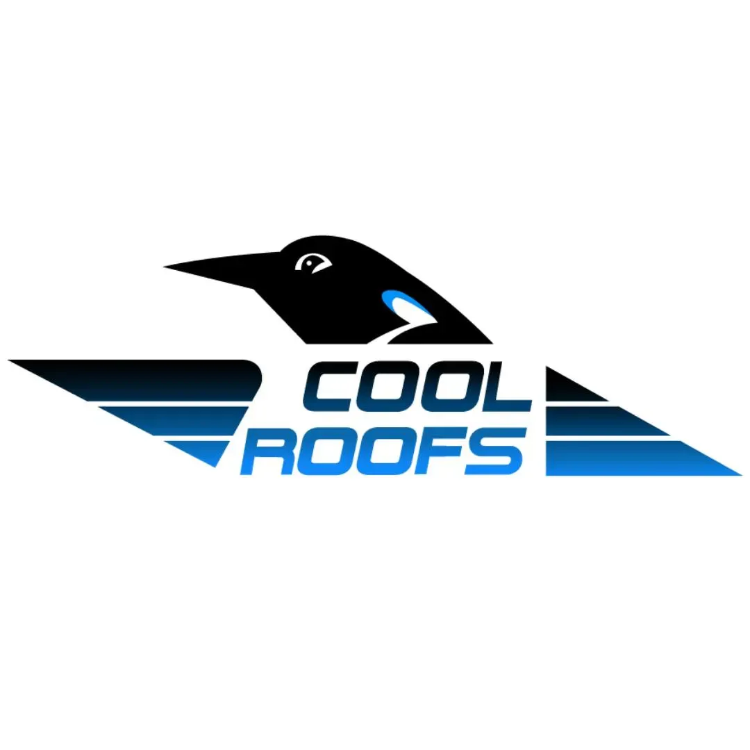 Austin Roof Repairs and Maintenance
