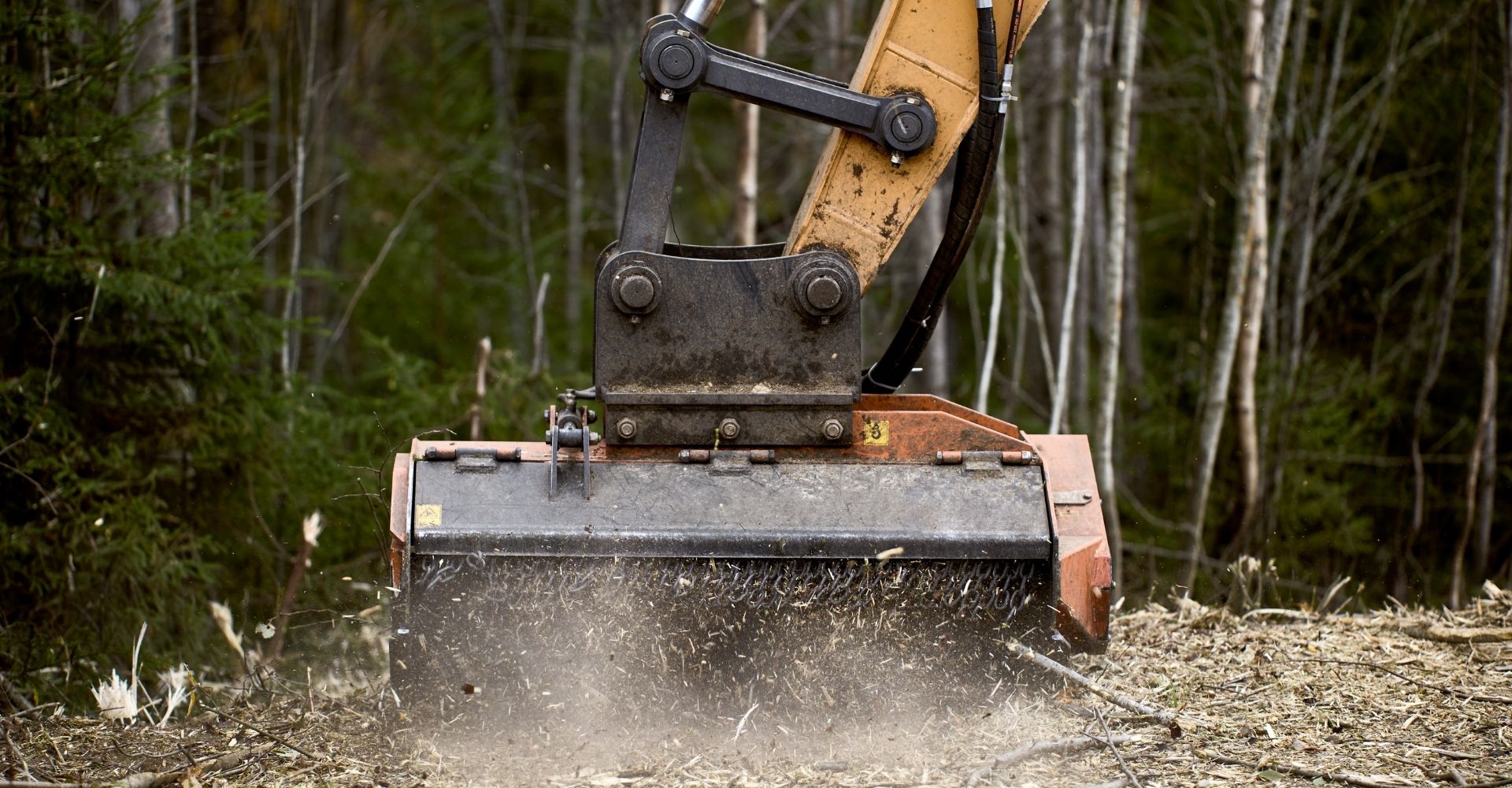 Explore Premium Yellow Jacket Teeth for Stump Grinders Now