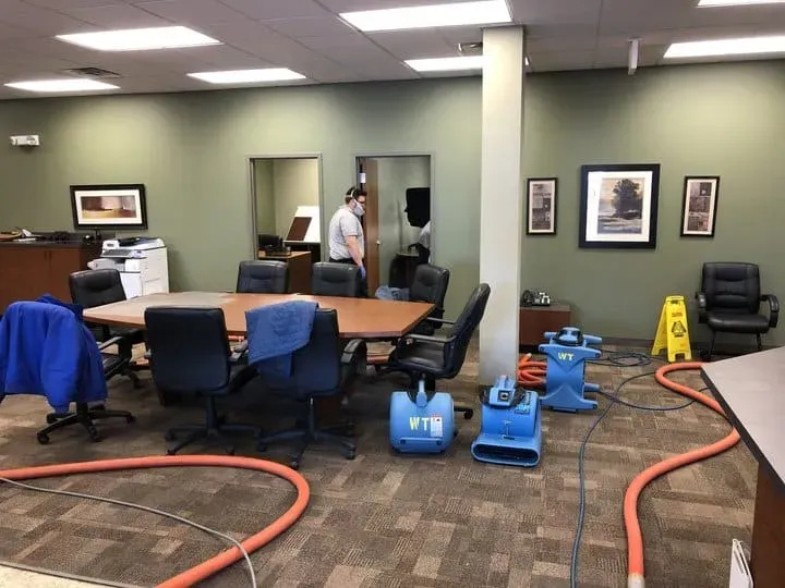 Expert rug cleaner demonstrating careful techniques, showcasing convenience and professionalism