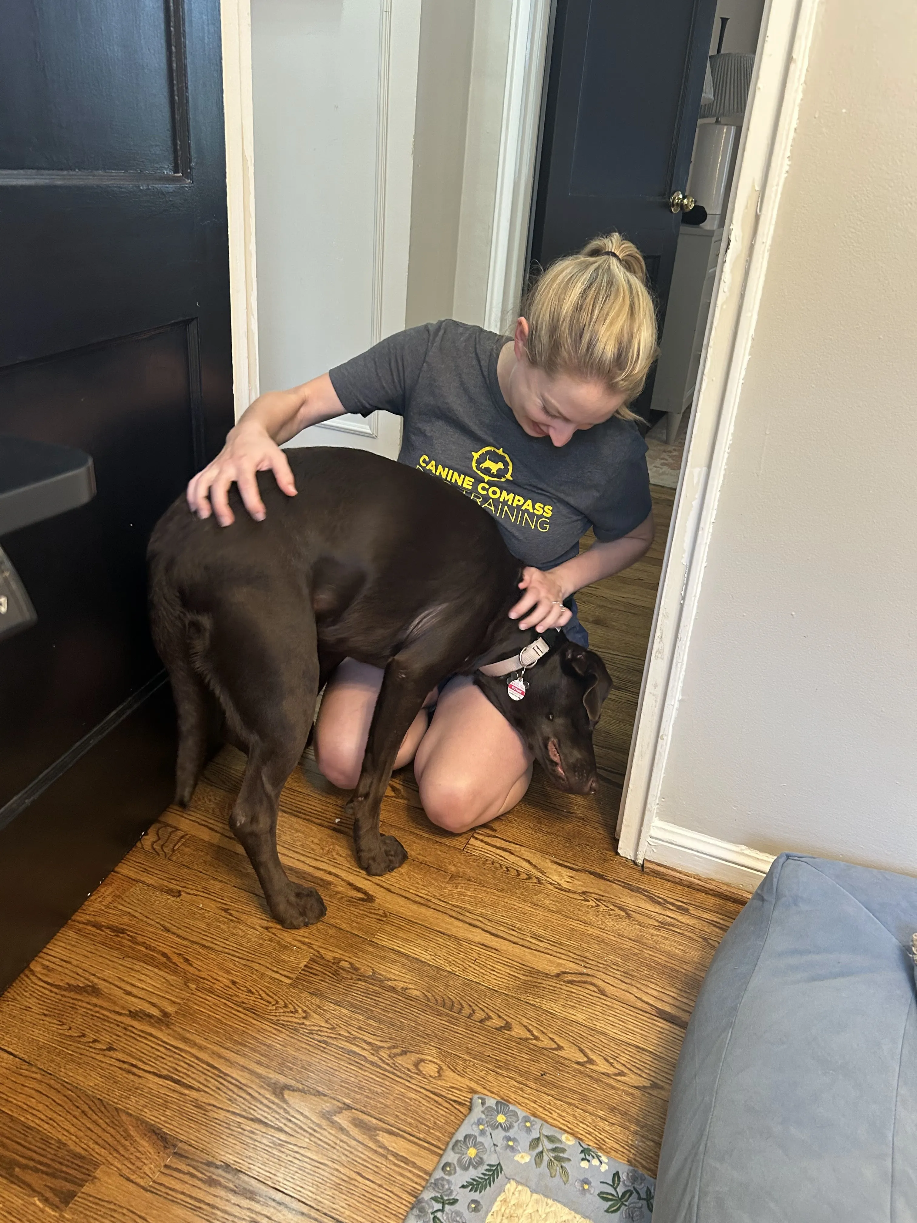 Manners and Obedience Training