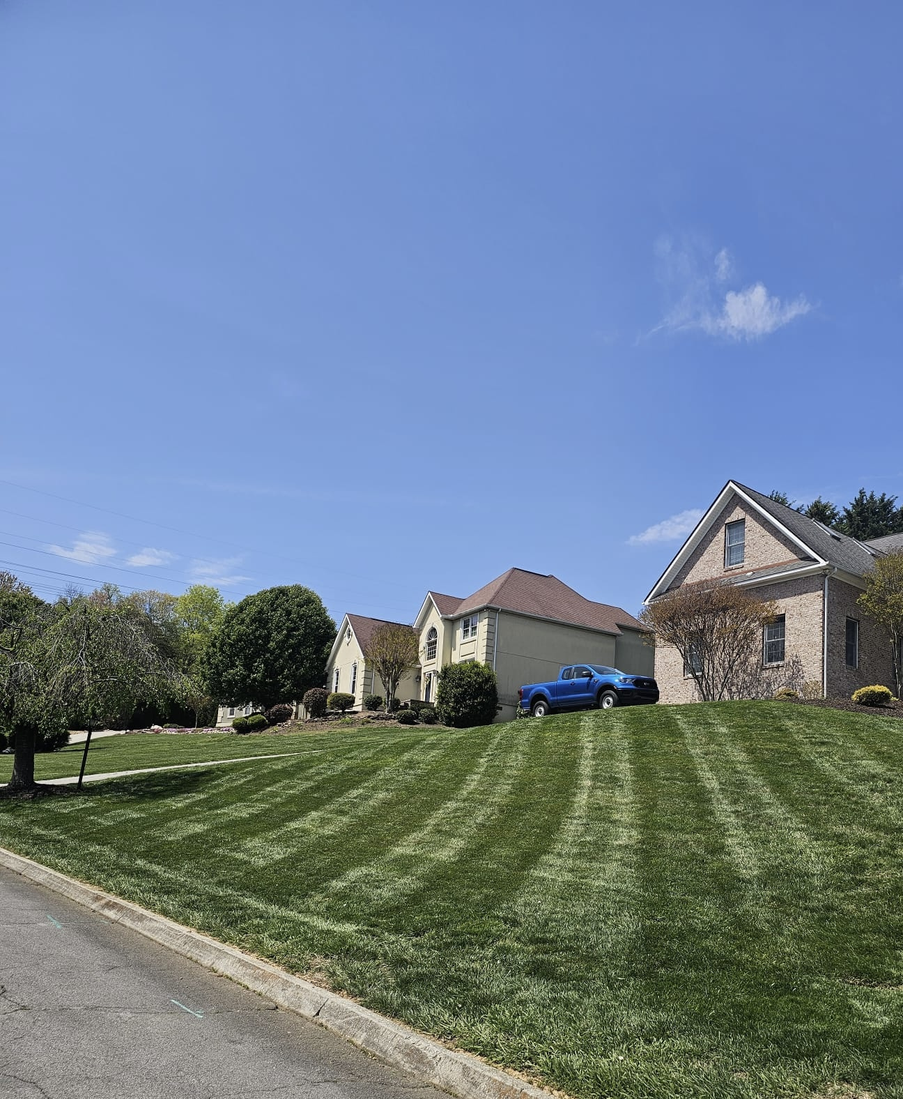 Premium Lawn Mowing Services in Knoxville, TN