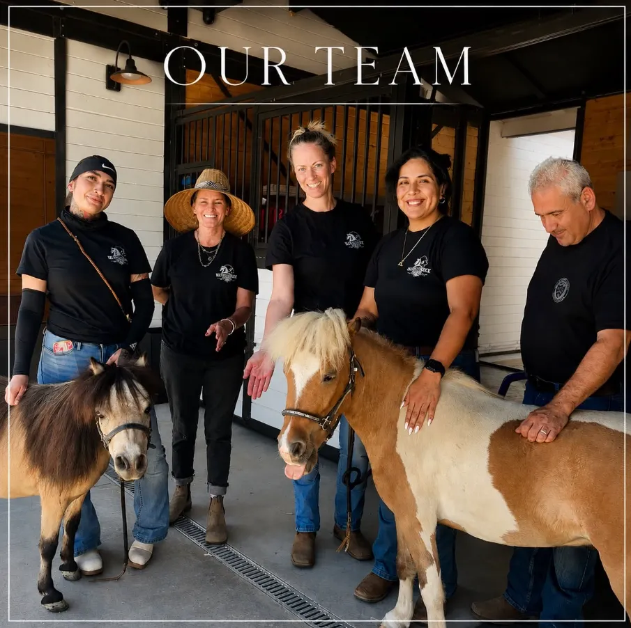 Five team members with miniature horses in a stable setting
