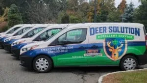 Achieve Effective Deer Management with Our Deer Solution Plan