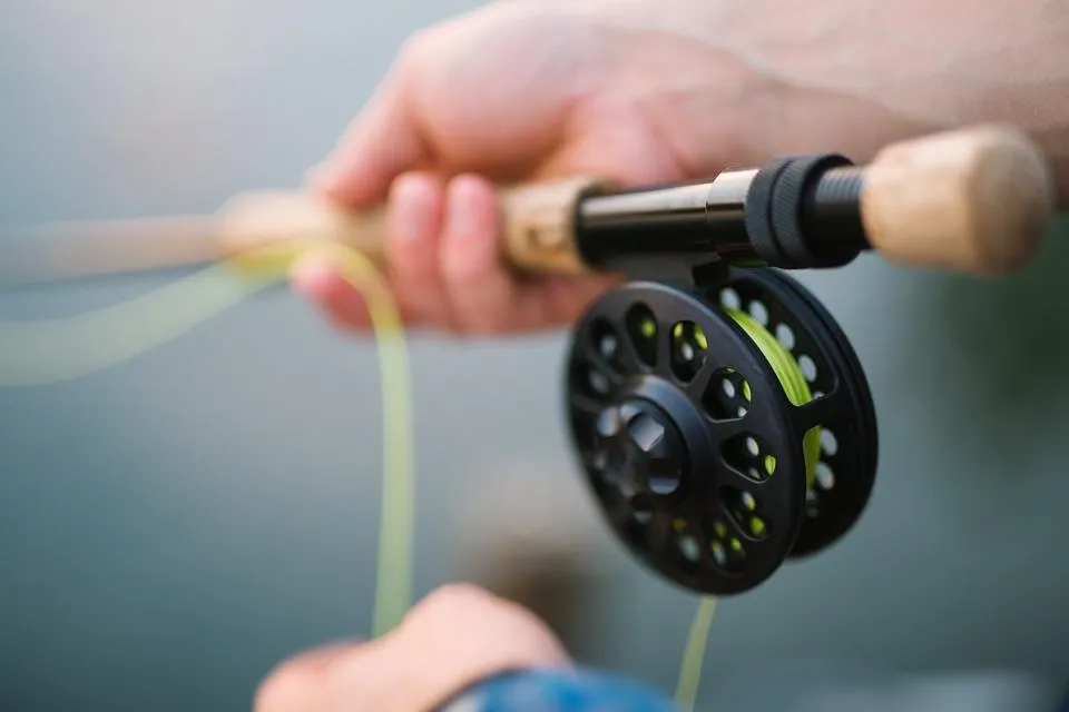 best fly fishing rods under $200 Best Fly Rods Under $200: Ultimate Guide