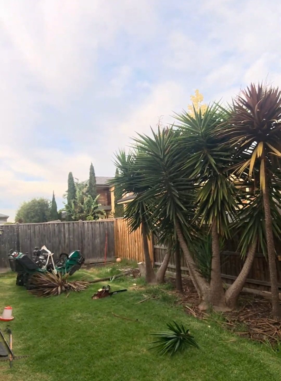 Professional Stump Grinding Services