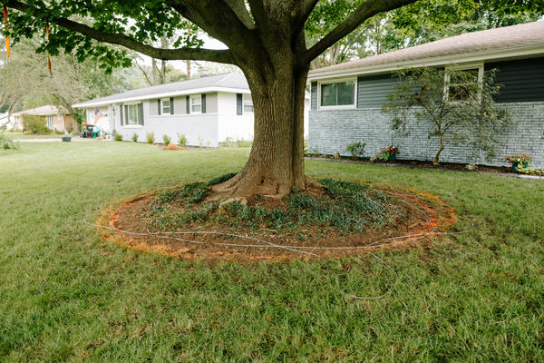 Decorative Landscape Curbing for a Polished Yard Finish