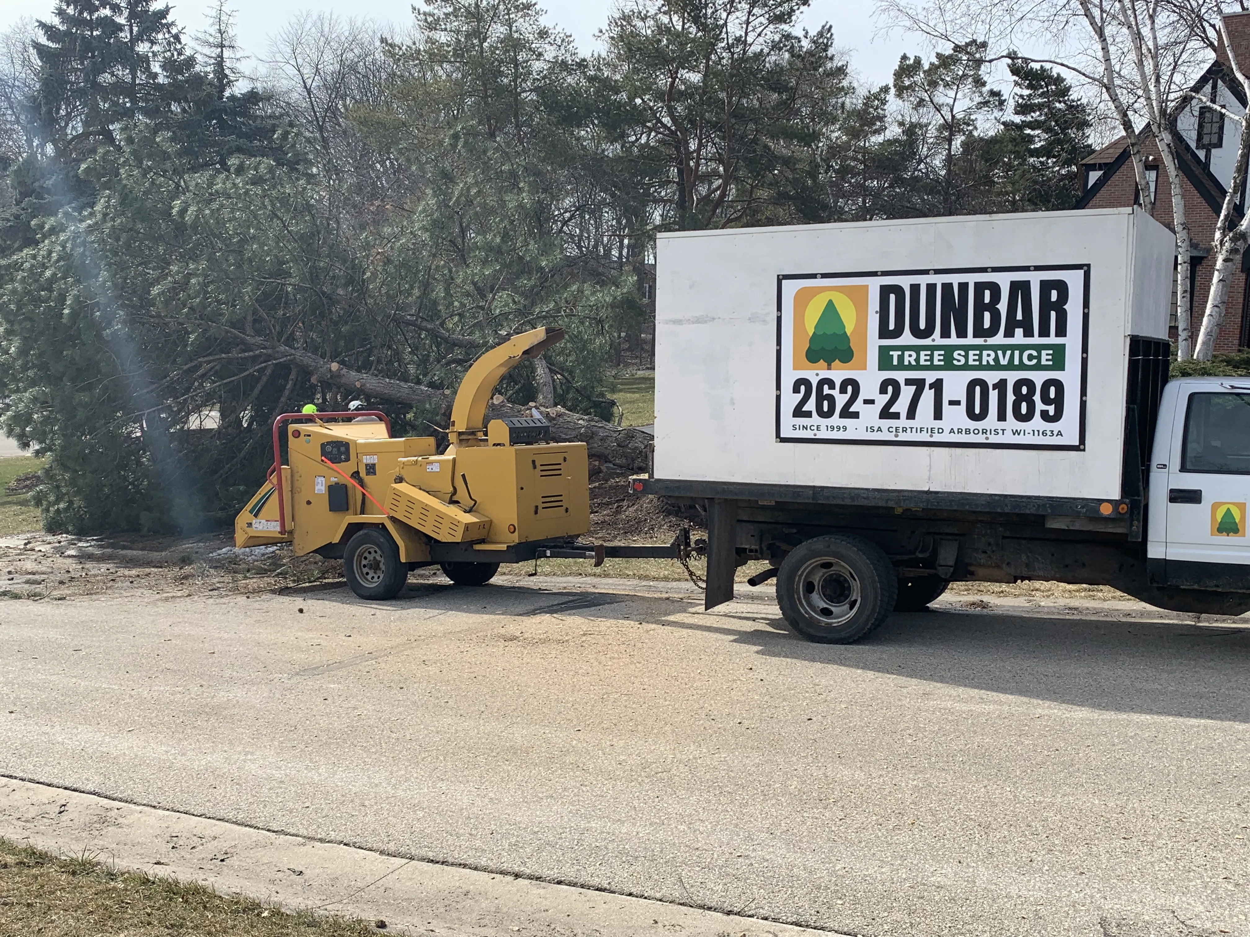 Tree Removal Expertise