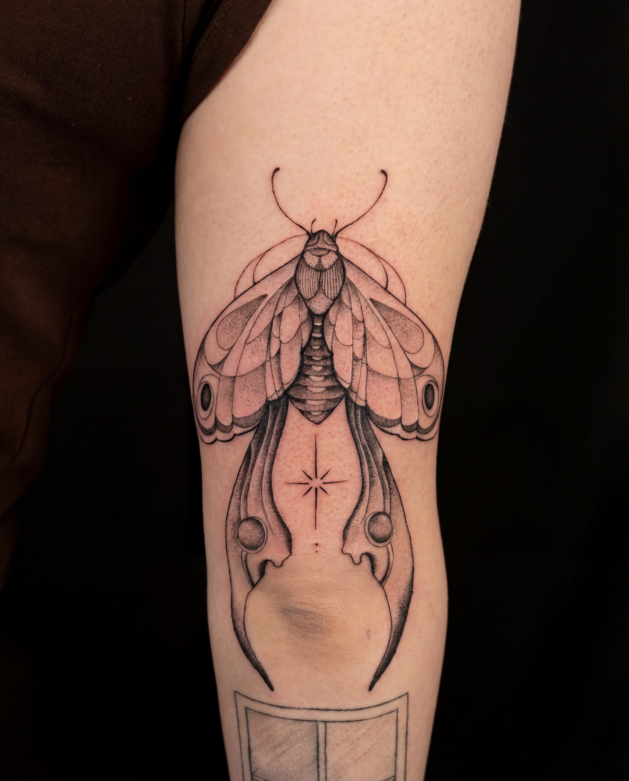 A detailed fine-line black-and-grey illustrative moth tattoo positioned on the upper arm above the elbow crease, featuring symmetrical patterns, stipple shading, and a minimal four-point star accent.
