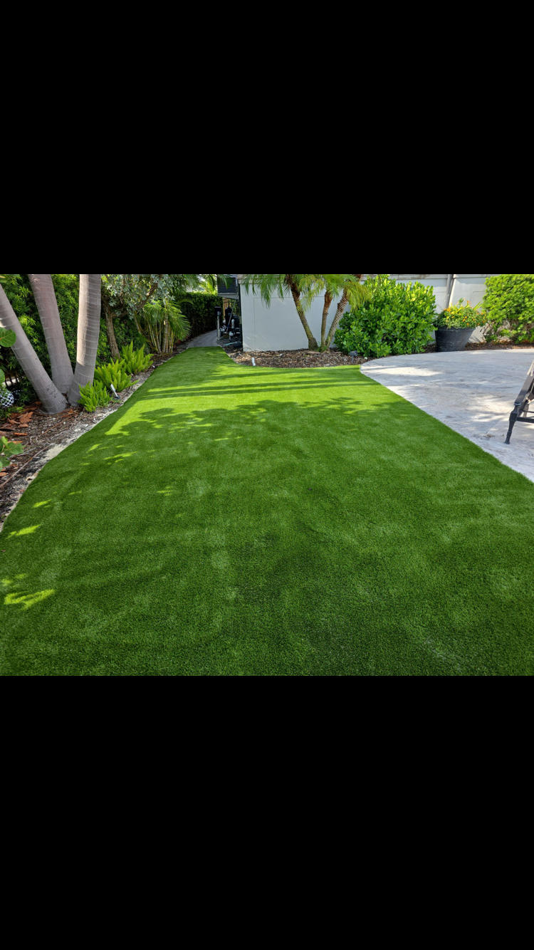Transform Your Outdoor Landscaping with Top Tampa Turf Experts