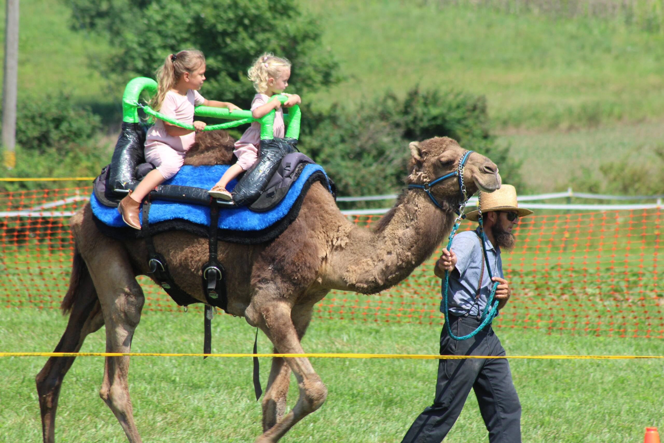Fun Activities for the Whole Family