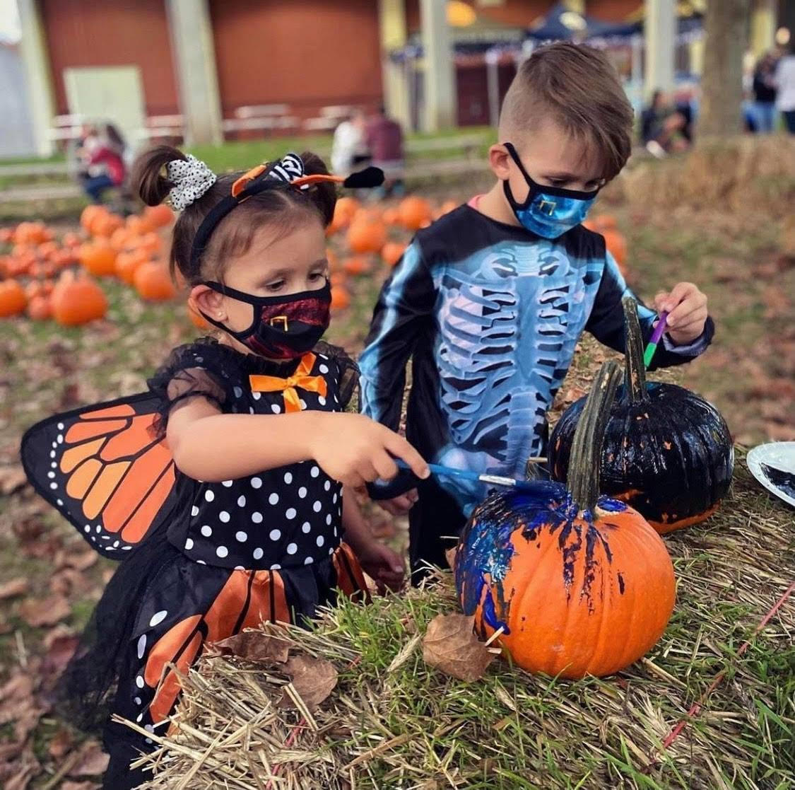 Smart Planning Tips for Your Sussex County Fall Visit