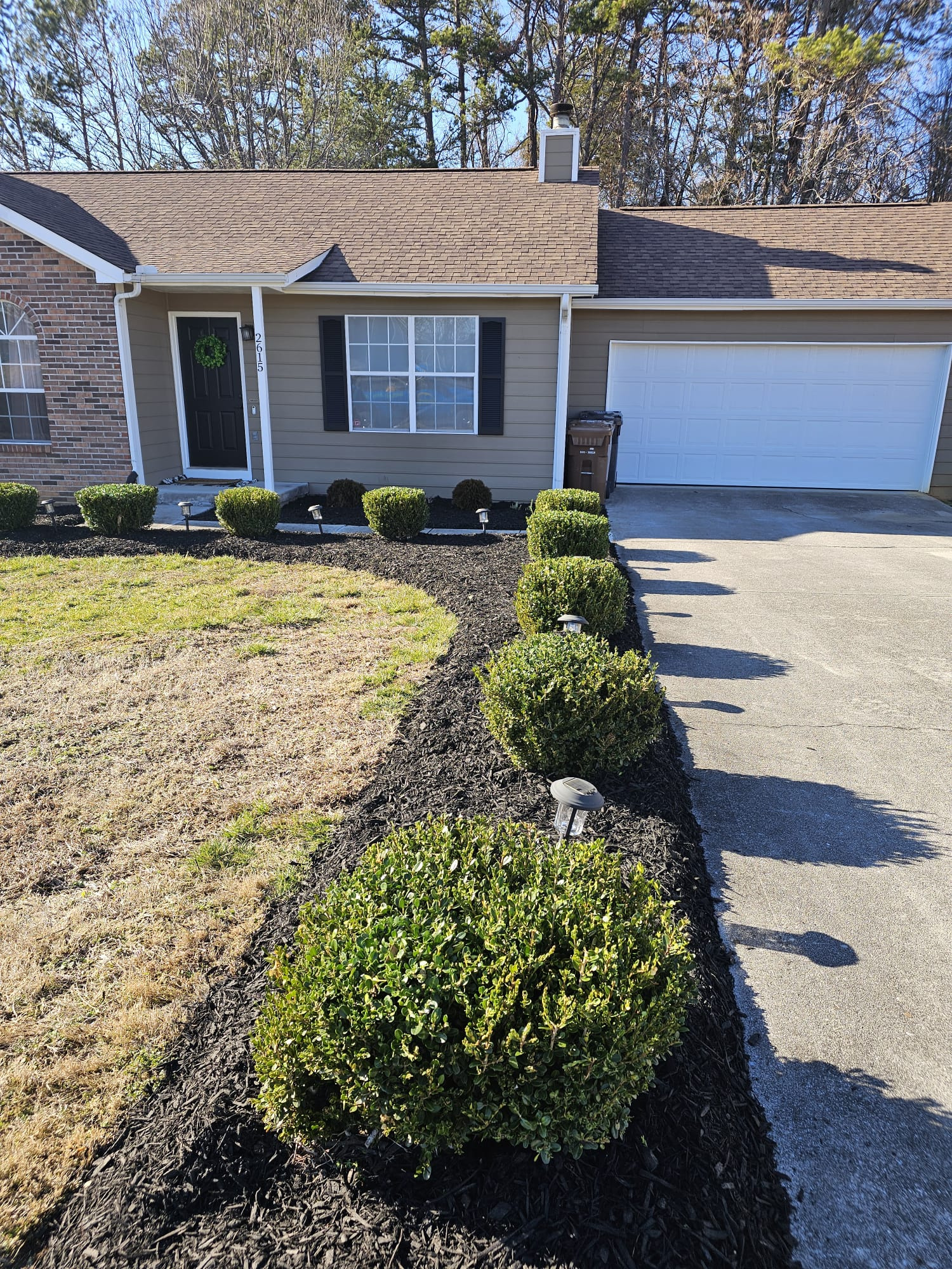 Why Choose Our Hedge Trimming Services?
